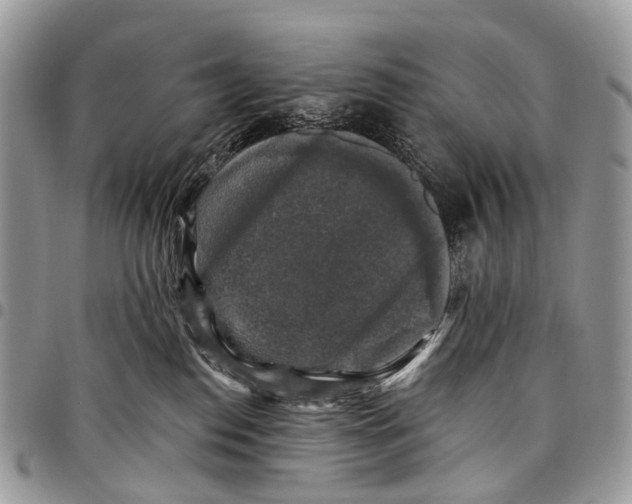 X0000097790186200803281731