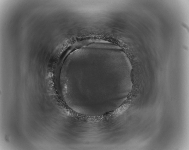 X0000097790192200803281731