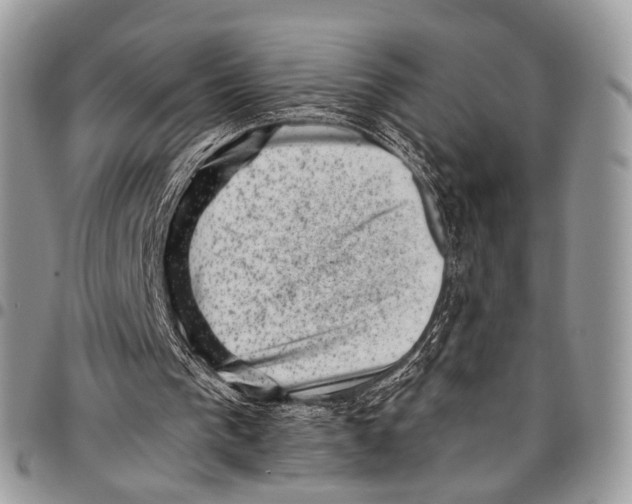 X0000097790193200803281730