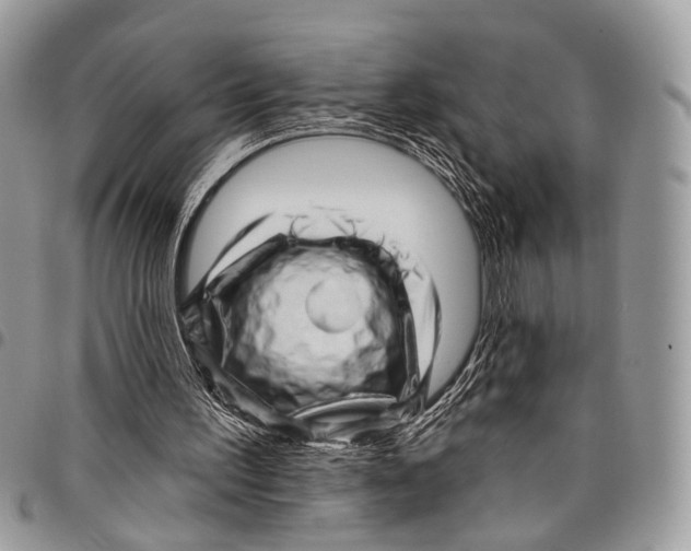 X0000097790195200803281730