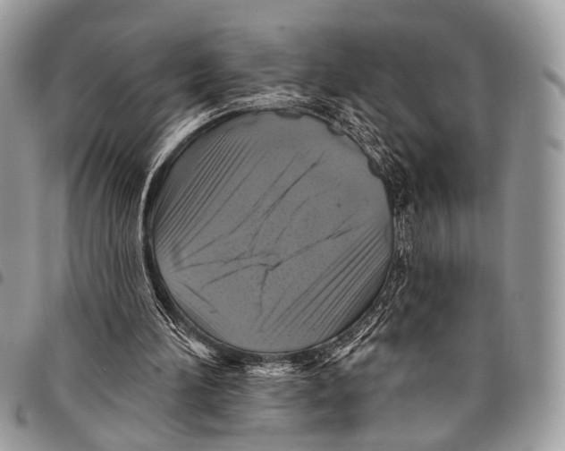 X0000097790196200803281730