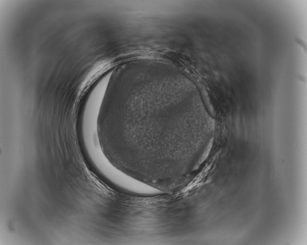 X0000097790197200803281730