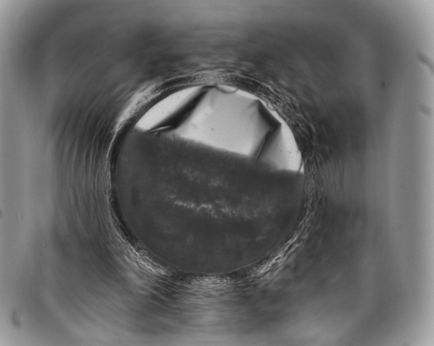 X0000097790198200803281730