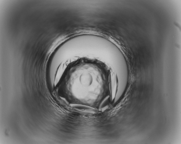 X0000097790199200803281730