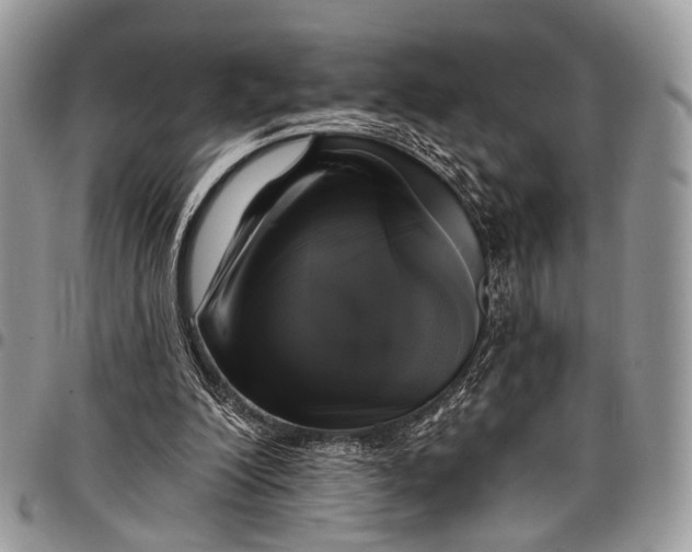 X0000097790200200803281730