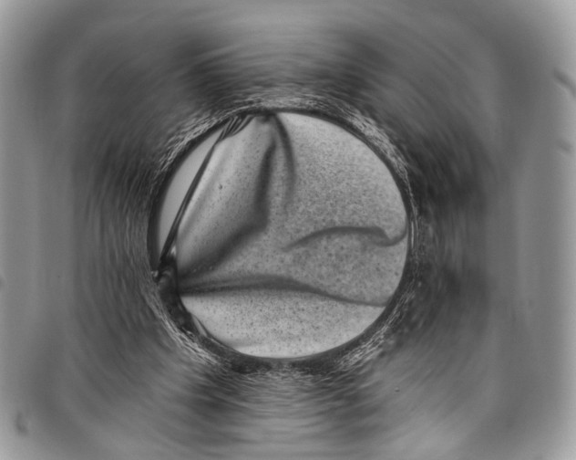 X0000097790201200803281730