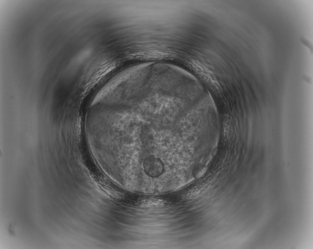 X0000097790206200803281730