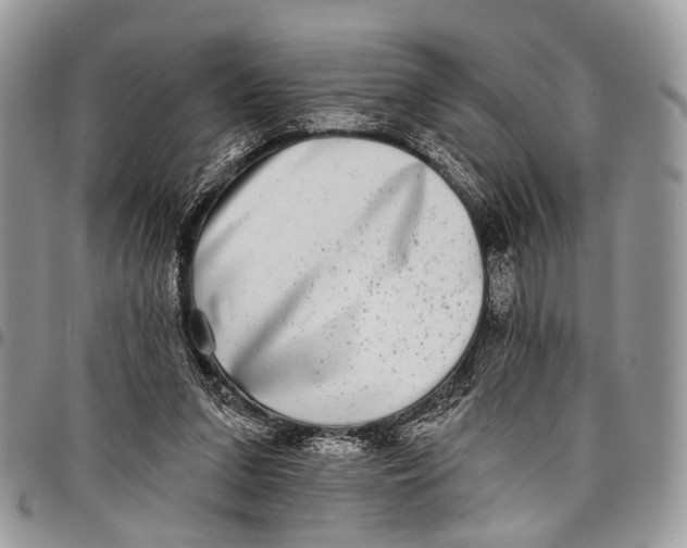 X0000097790207200803281730