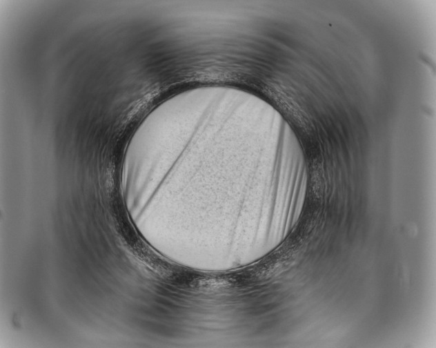 X0000097790208200803281730