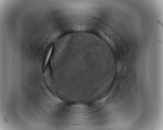 X0000097790209200803281730