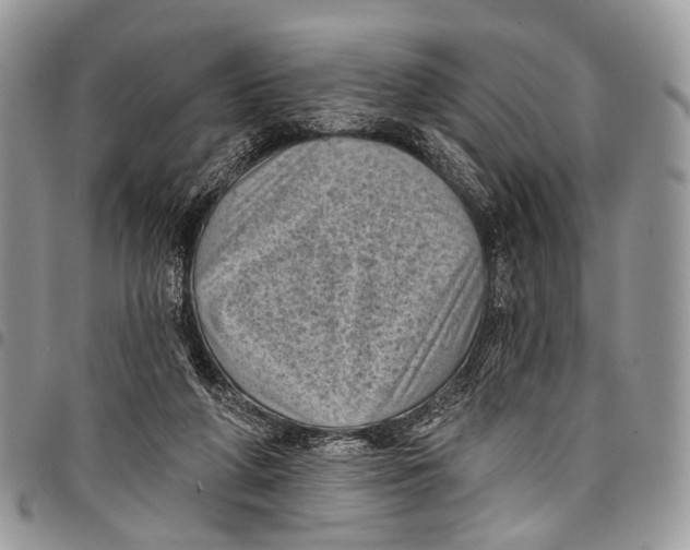 X0000097790210200803281730