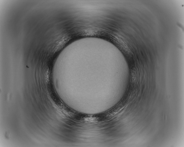 X0000097790216200803281730