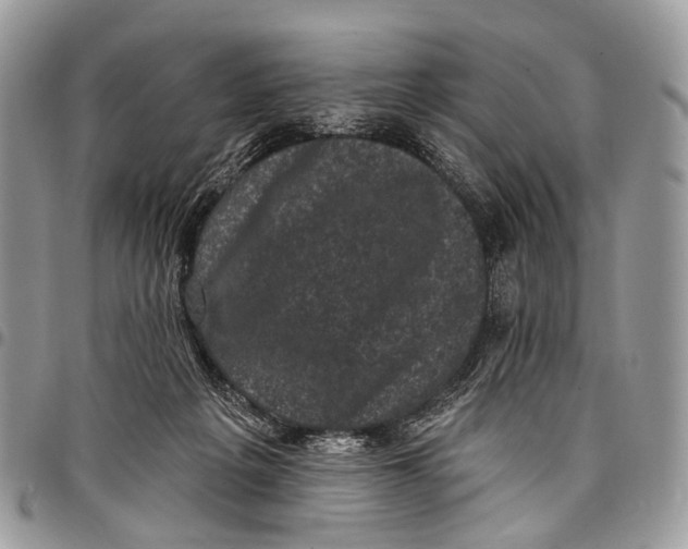 X0000097790217200803281730