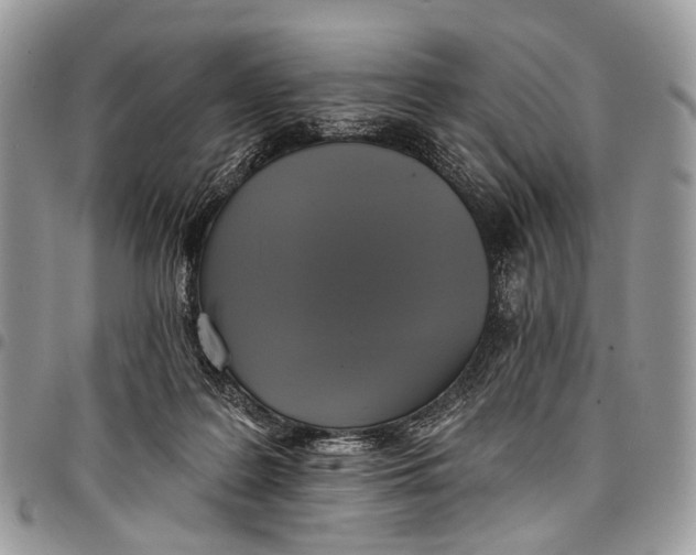 X0000097790219200803281730