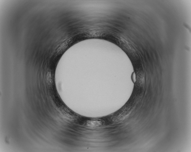 X0000097790220200803281730