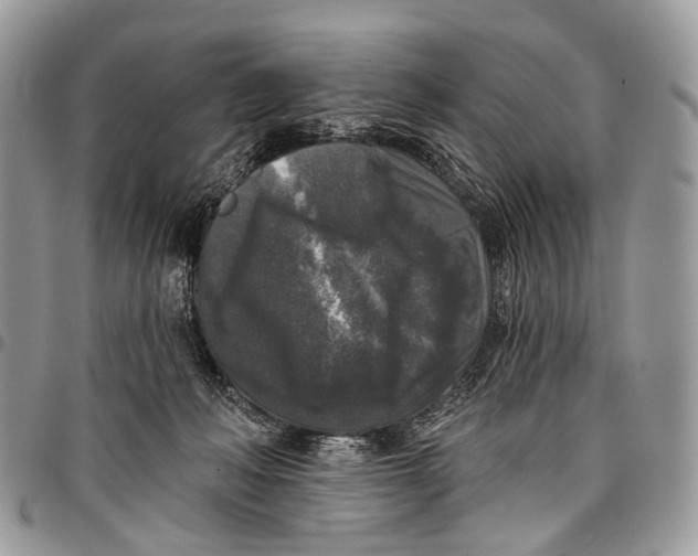 X0000097790222200803281730