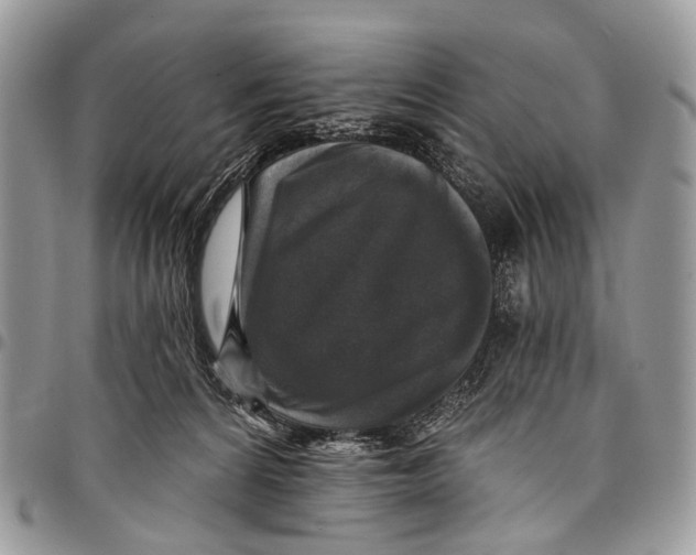 X0000097790224200803281730