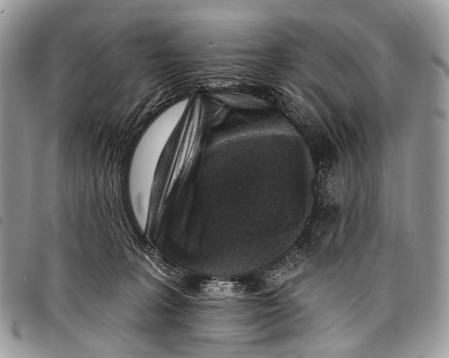 X0000097790227200803281730