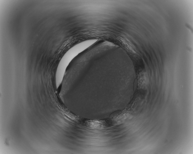 X0000097790229200803281730