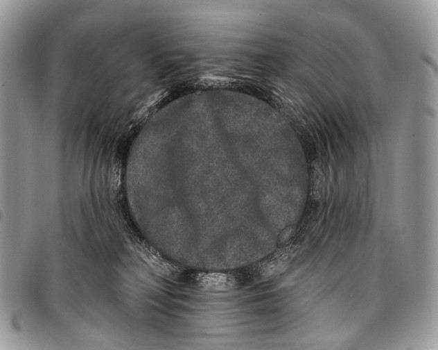 X0000097790230200803281730