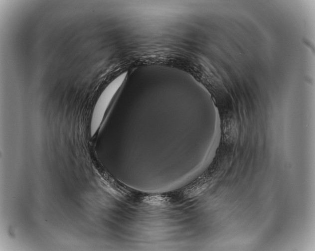 X0000097790231200803281730
