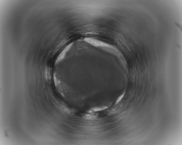 X0000097790232200803281730