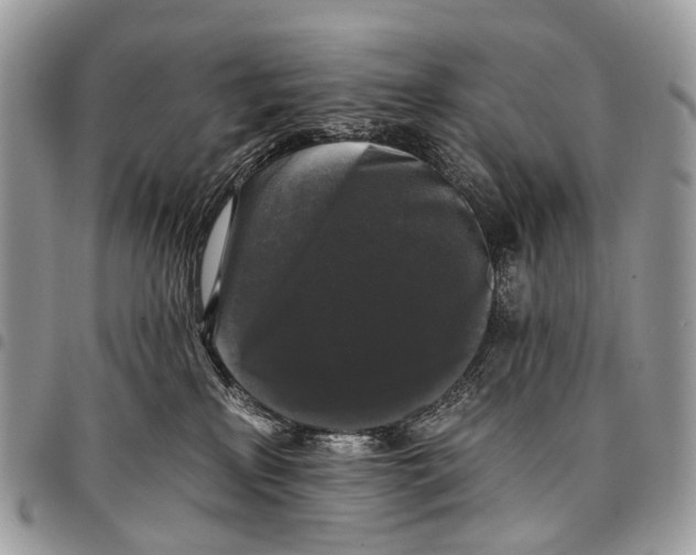 X0000097790233200803281730
