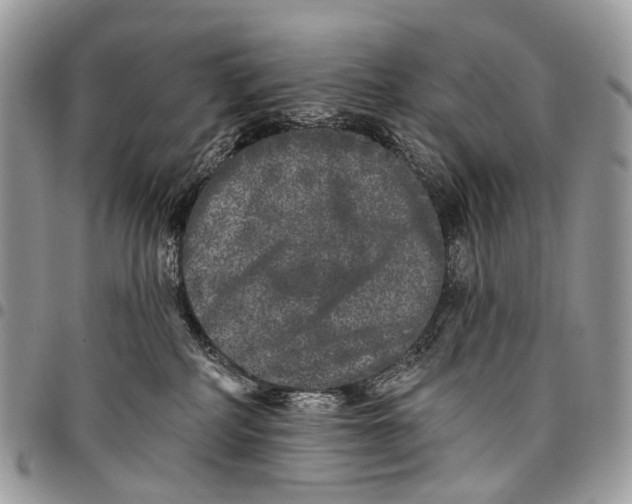 X0000097790234200803281730