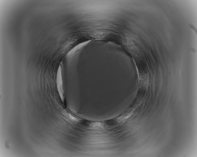 X0000097790237200803281730