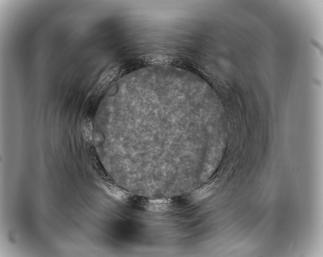 X0000097790240200803281730