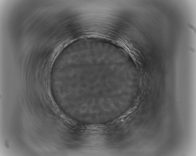 X0000097790241200803281729