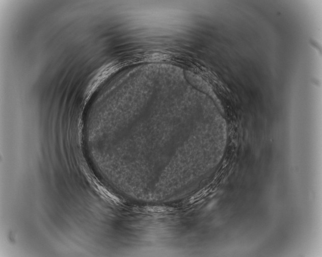 X0000097790242200803281729