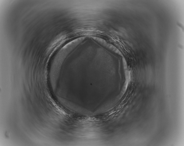 X0000097790243200803281729