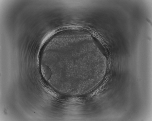 X0000097790246200803281729