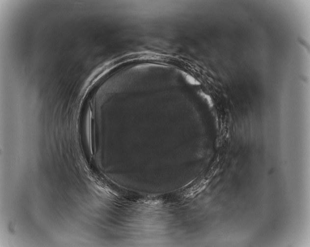X0000097790247200803281729