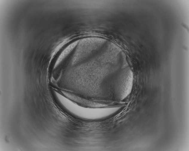 X0000097790248200803281729