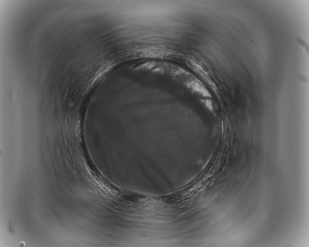 X0000097790249200803281729