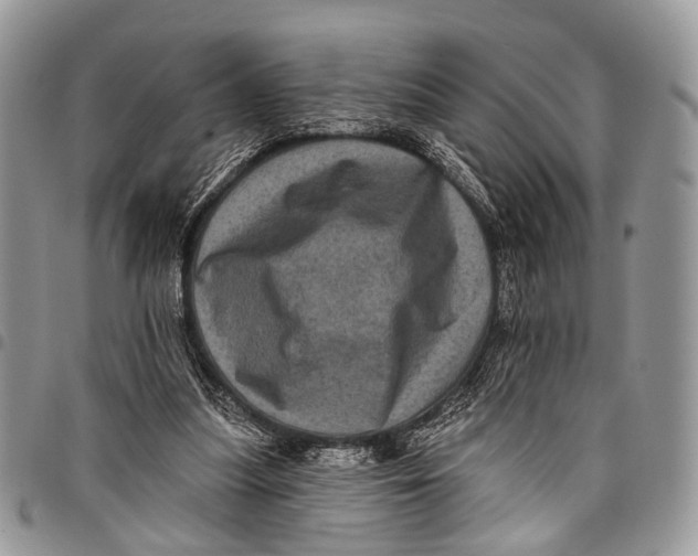 X0000097790251200803281729