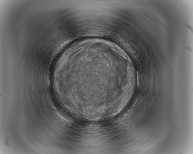 X0000097790252200803281729