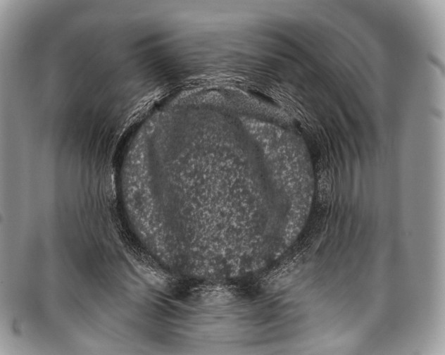 X0000097790254200803281729