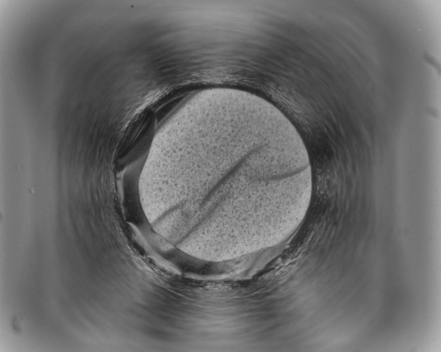 X0000097790256200803281729