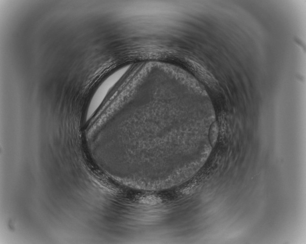 X0000097790258200803281729