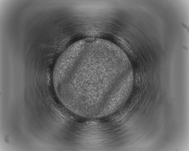 X0000097790259200803281729