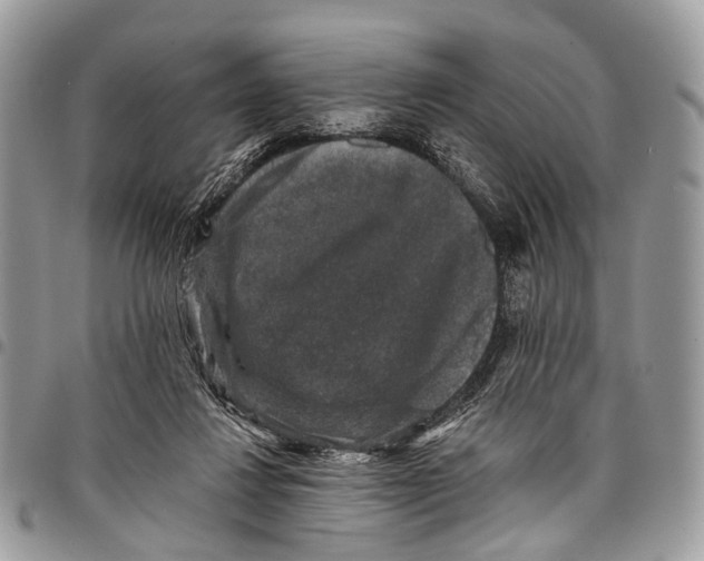 X0000097790260200803281729
