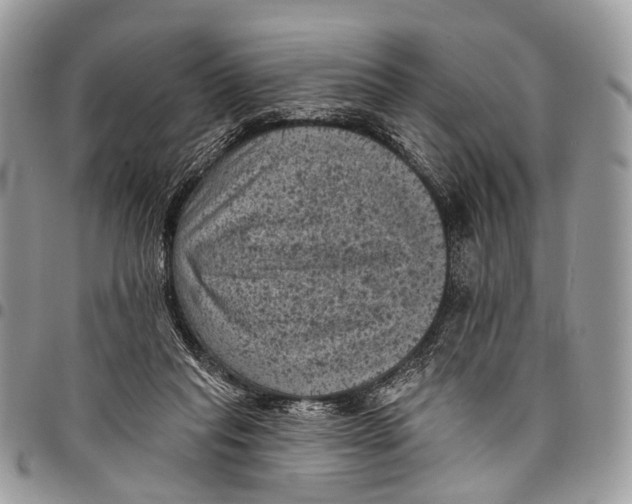X0000097790261200803281729