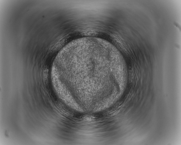 X0000097790263200803281729