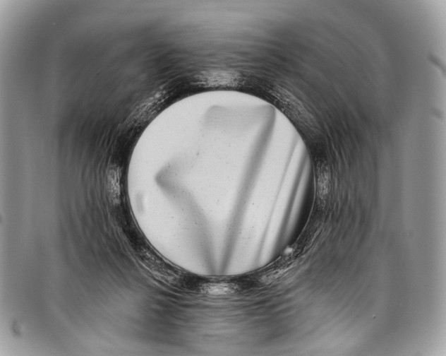 X0000097790264200803281729
