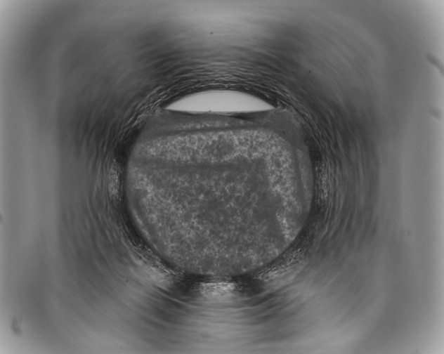X0000097790266200803281729