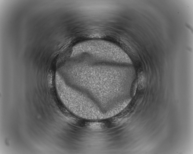 X0000097790268200803281729