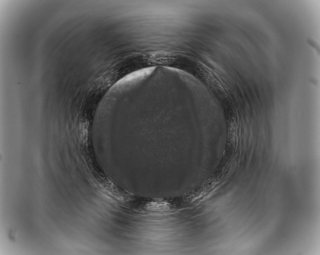 X0000097790271200803281730